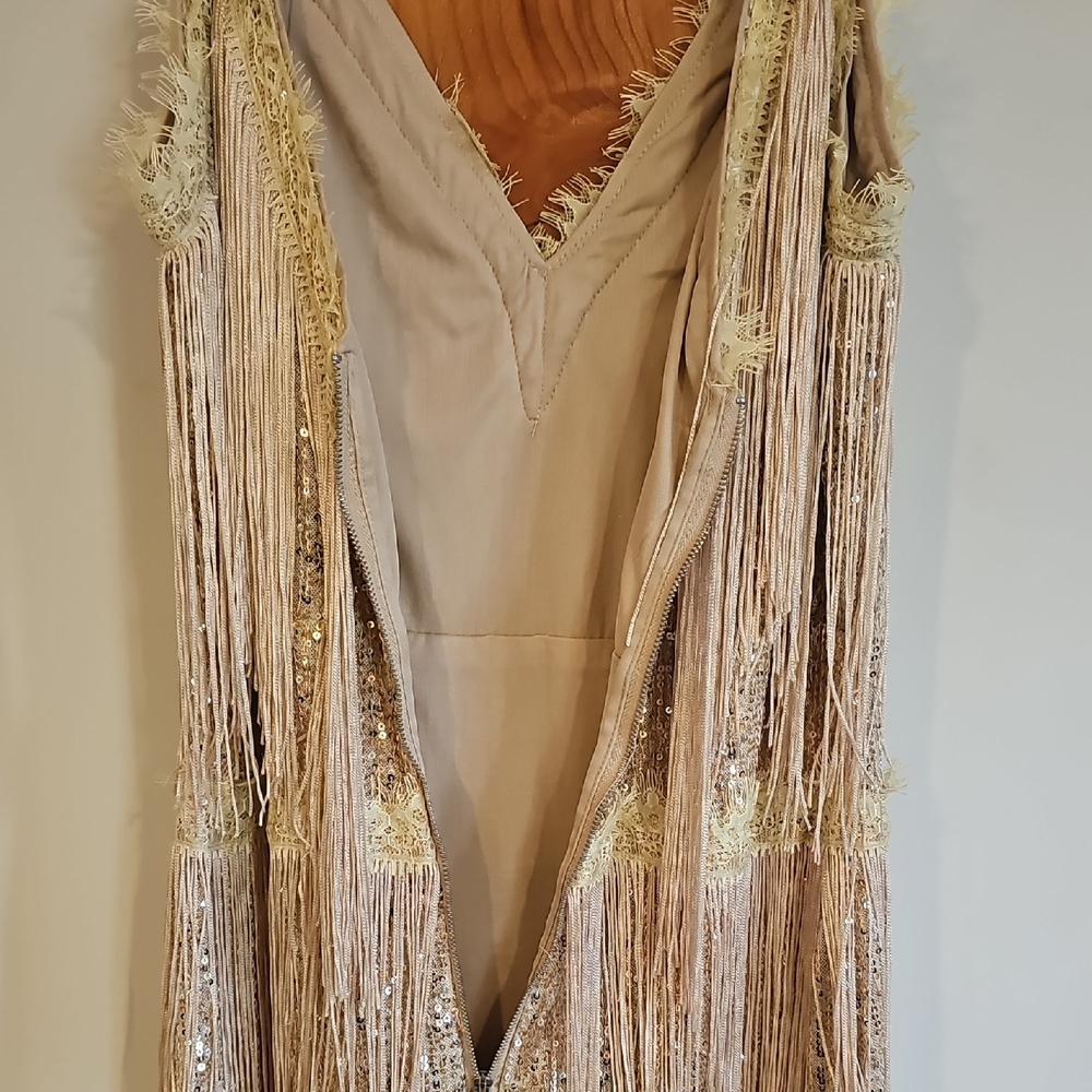 Nude and Gold Sequin Fringe Party Dress - Size Large - Picture 8 of 12